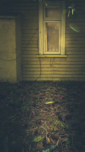 QMH-Abandoned-House-Beer-Bottle