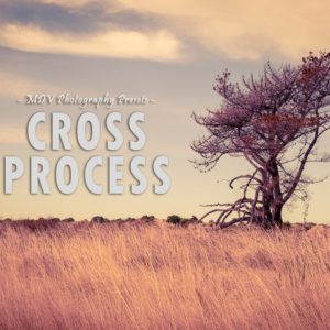 Cross Process : Lightroom Presets