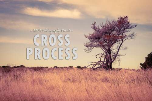 Cross Process : Lightroom Presets