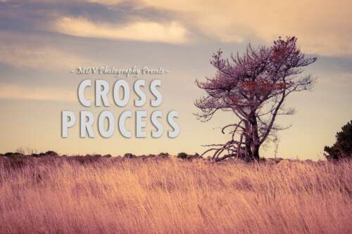 Cross Process Lightroom Presets Photographer