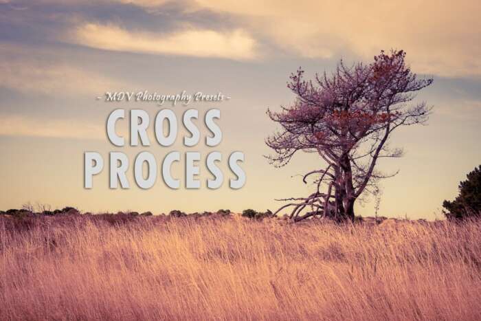 Cross Process Lightroom Presets Photographer