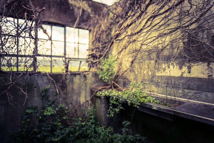 Cross Process Lightroom Presets 3 Photographer