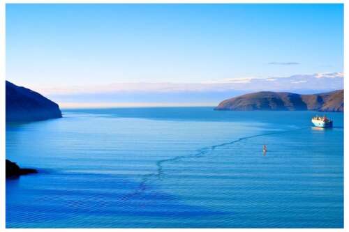 Godley Head Lyttelton - Art Prints