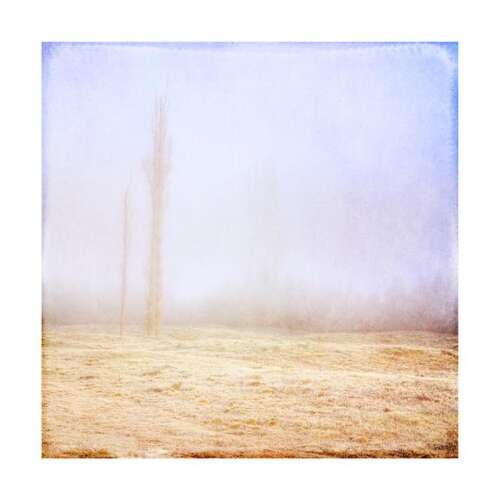 Misty Morning : Art Print