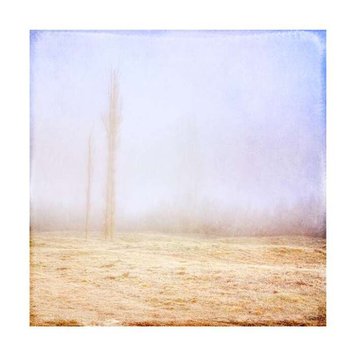 Misty Morning Art Print Photographer