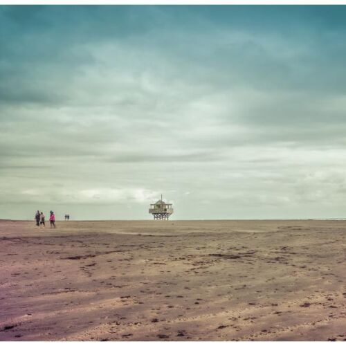 Te Henga Bethels   Art Prints Photographer