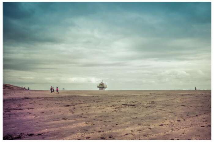 Te Henga Bethels   Art Prints Photographer
