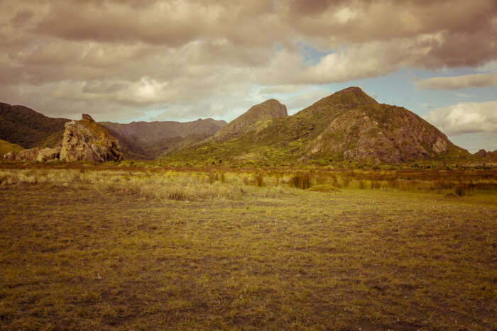 WARM TONES   HEADER   AFTER Photographer