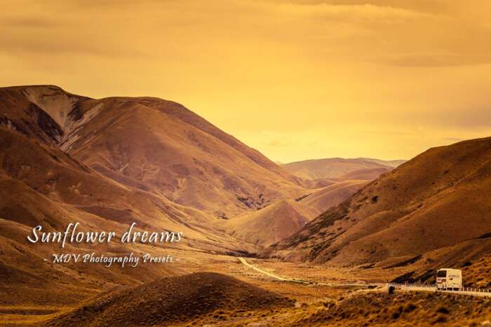 Warm Tones  Lightroom Presets Photographer