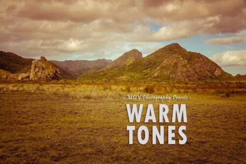 Warm Tones : Lightroom Presets