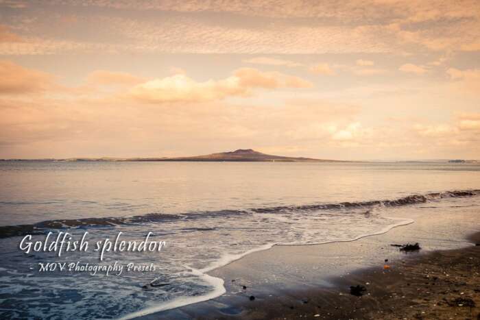 Warm Tones  Lightroom Presets Photographer