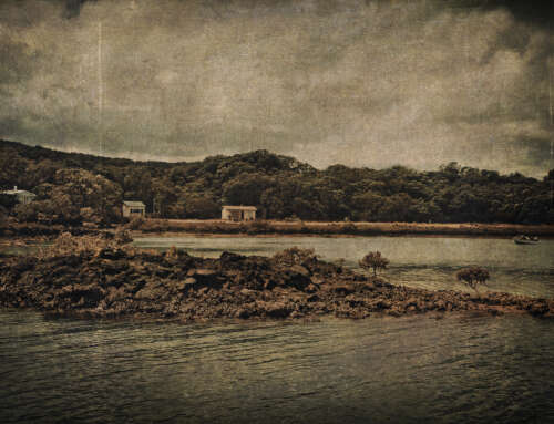 The Baches of Rangitoto Island