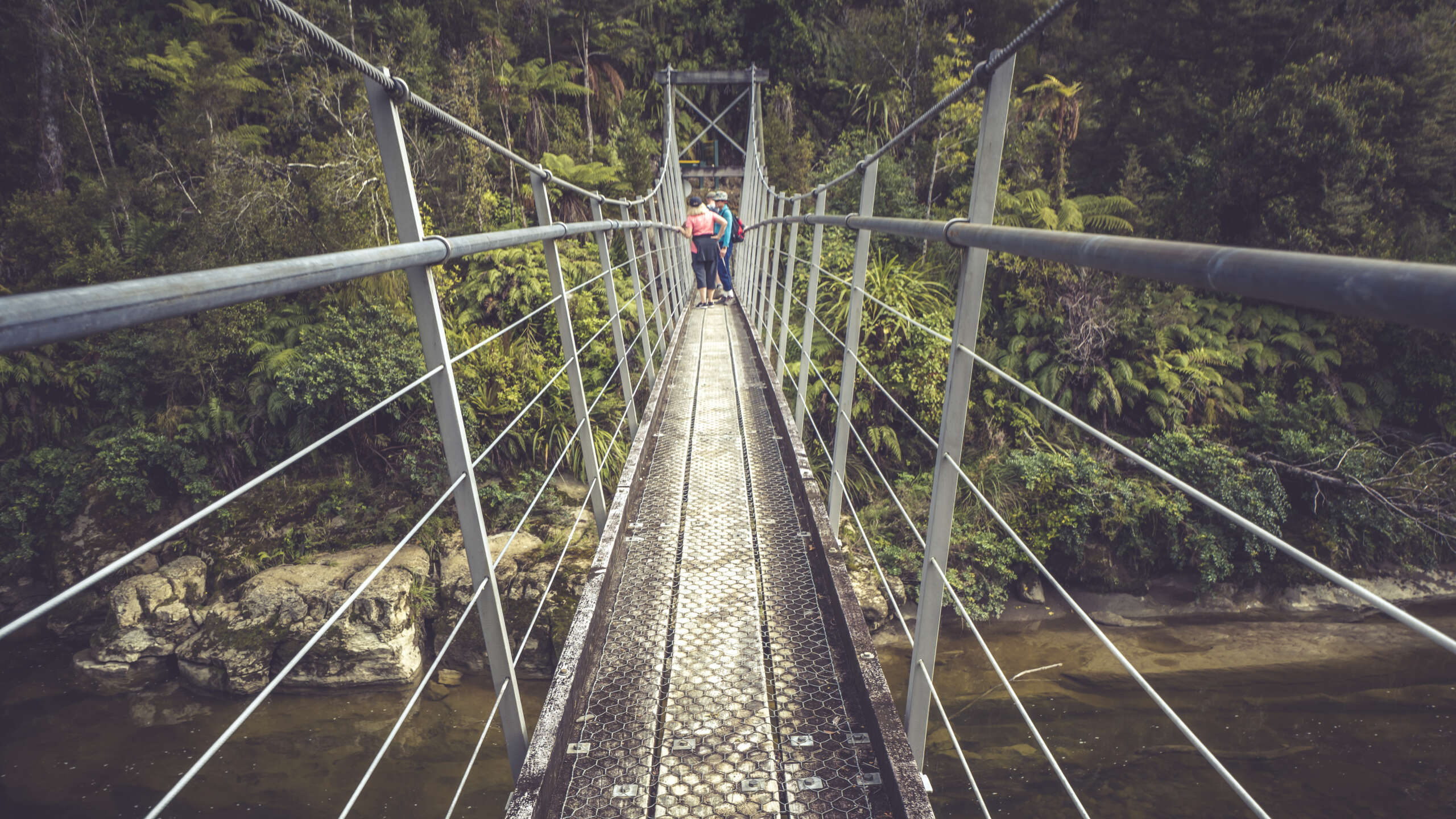 Swing Bridge Paparoa National Park Photographer