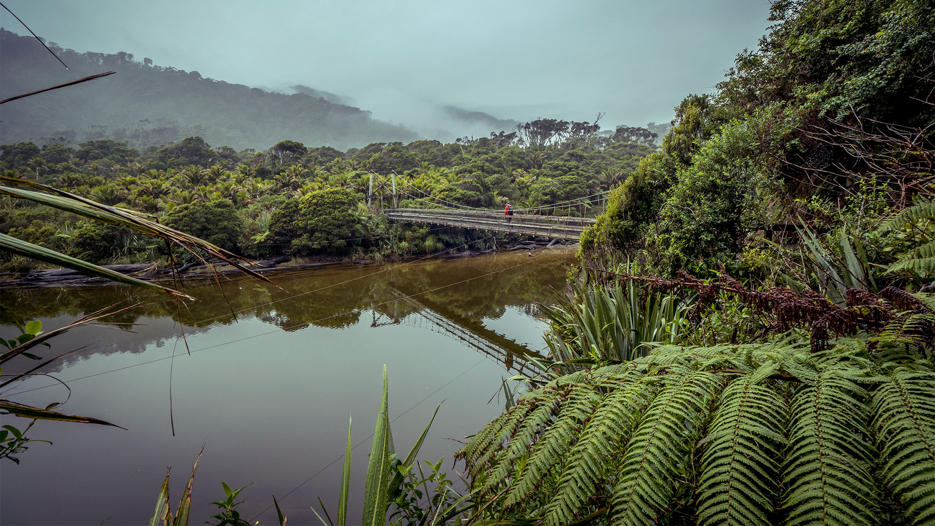 Kahurangi National Park